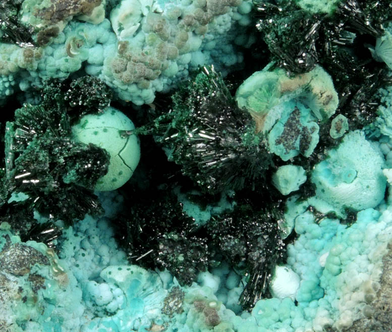 Malachite on Chrysocolla from L'Etoile du Congo Mine, Lubumbashi, Katanga Copperbelt, Haut-Katanga Province, Democratic Republic of the Congo