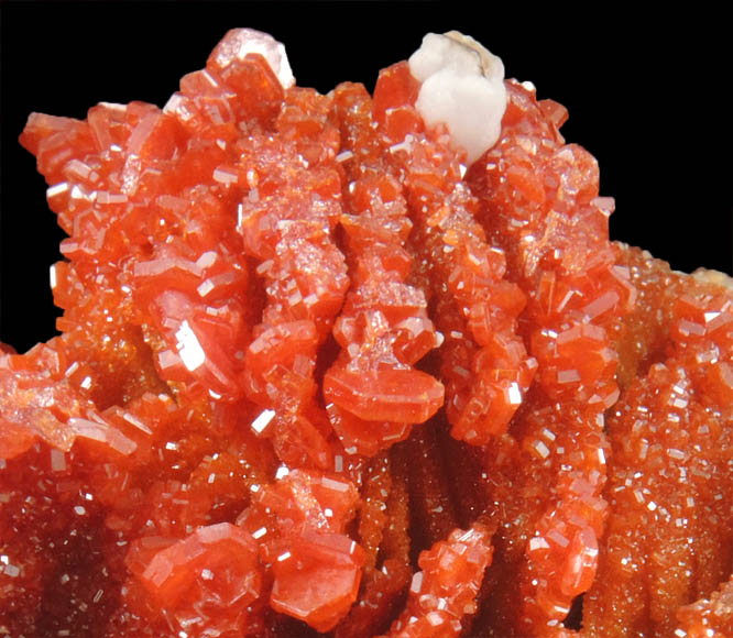 Vanadinite and Aragonite over Barite from Mibladen, Haute Moulouya Basin, Zeida-Aouli-Mibladen belt, Midelt Province, Morocco