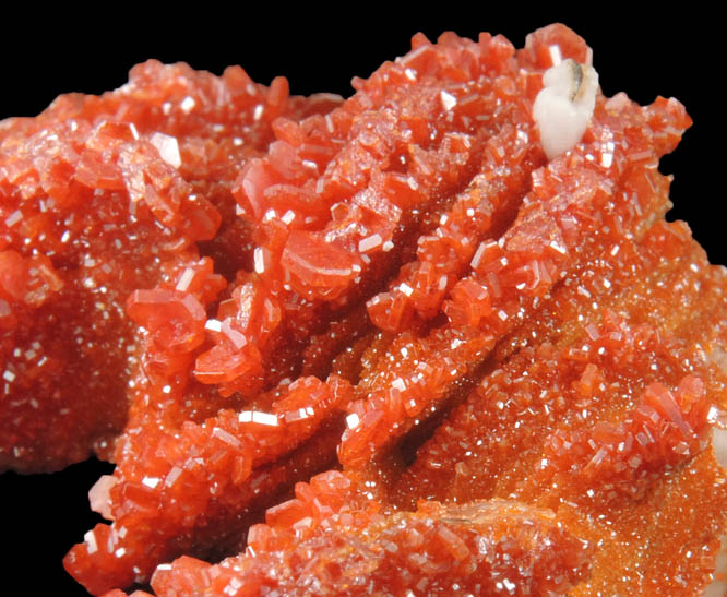 Vanadinite and Aragonite over Barite from Mibladen, Haute Moulouya Basin, Zeida-Aouli-Mibladen belt, Midelt Province, Morocco