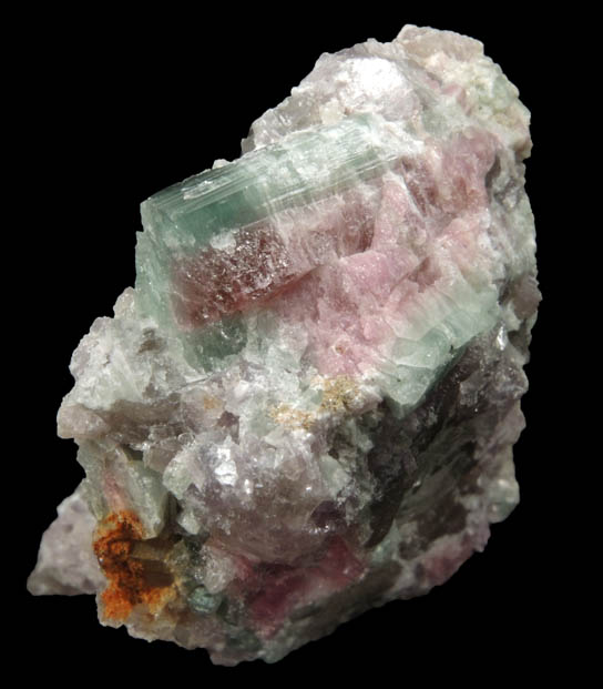 Elbaite Tourmaline in Lepidolite from Havey Quarry, Poland, Androscoggin County, Maine