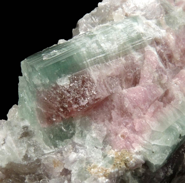Elbaite Tourmaline in Lepidolite from Havey Quarry, Poland, Androscoggin County, Maine