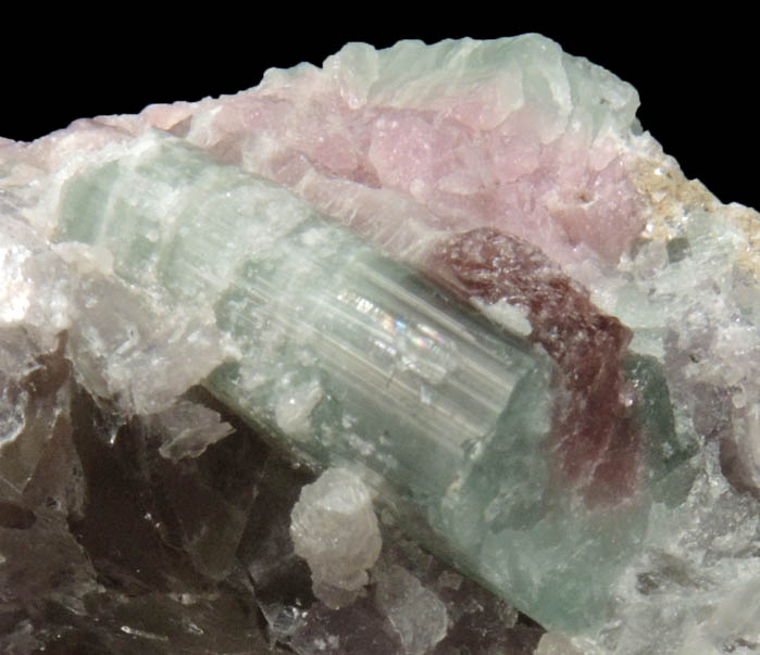 Elbaite Tourmaline in Lepidolite from Havey Quarry, Poland, Androscoggin County, Maine