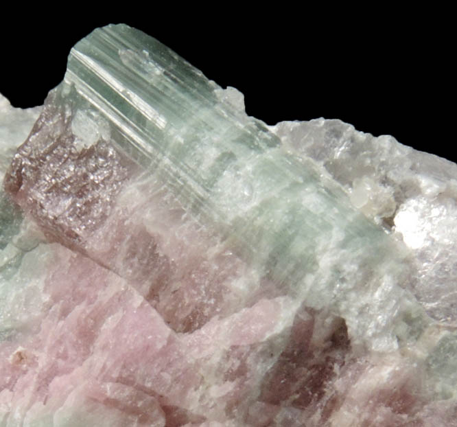 Elbaite Tourmaline in Lepidolite from Havey Quarry, Poland, Androscoggin County, Maine