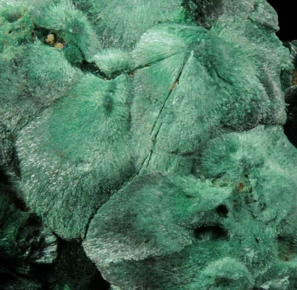 Malachite var. Velvet Malachite from Lubumbashi, Katanga Copperbelt, Haut-Katanga Province, Democratic Republic of the Congo