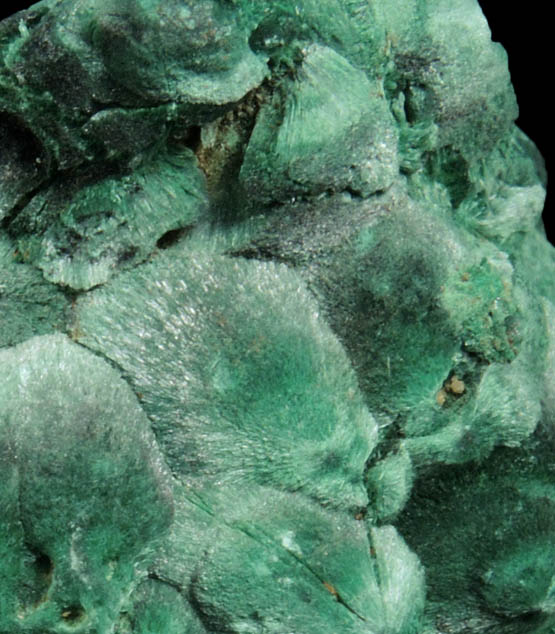 Malachite var. Velvet Malachite from Lubumbashi, Katanga Copperbelt, Haut-Katanga Province, Democratic Republic of the Congo