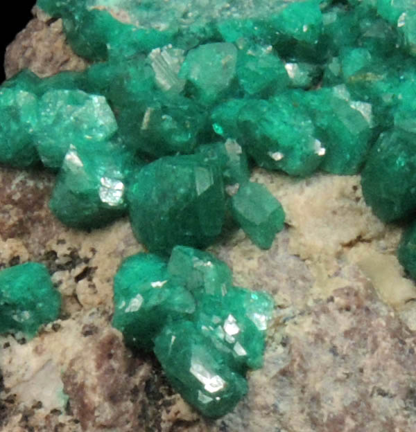 Euchroite from Lubietova (Libethen), Svtoduska Mining District, Slovak Republic (Slovakia) (Type Locality for Euchroite)