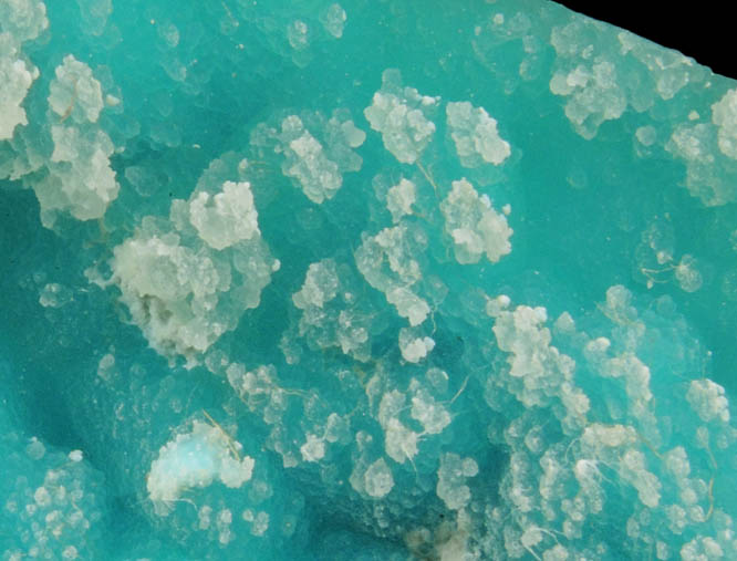 Quartz var. Chalcedony over Chrysocolla from Bisbee, Warren District, Cochise County, Arizona