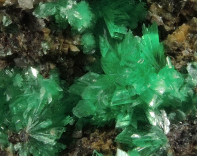 Annabergite from Kamareza Mine, Lavrion (Laurium) Mining District, Attica Peninsula, Greece