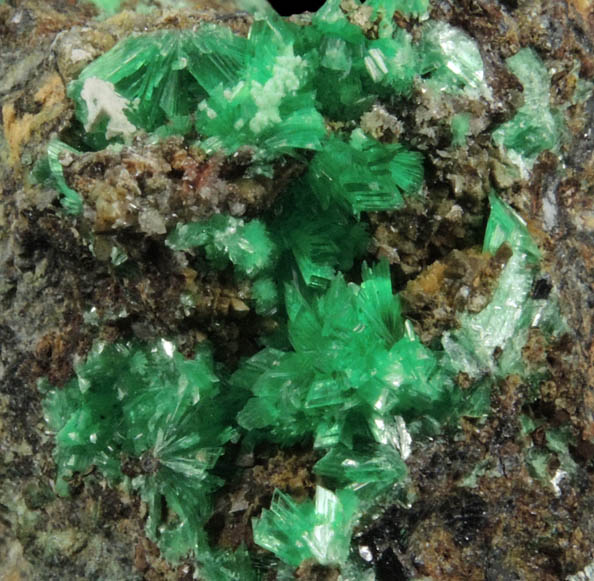 Annabergite from Kamareza Mine, Lavrion (Laurium) Mining District, Attica Peninsula, Greece