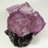 Fluorite and Sphalerite from Denton Mine, Harris Creek District, Hardin County, Illinois