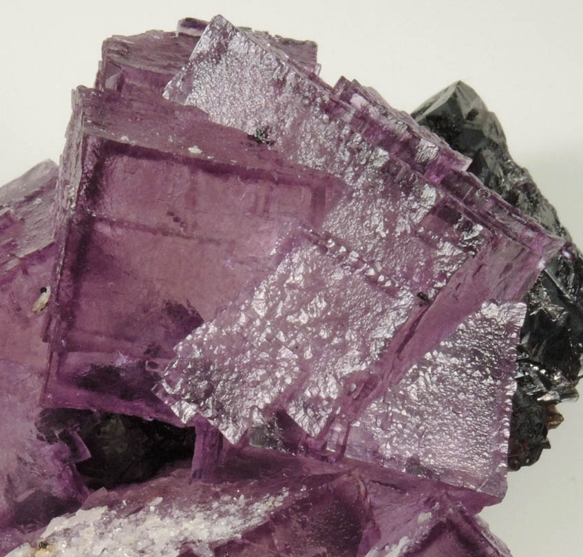 Fluorite and Sphalerite from Denton Mine, Harris Creek District, Hardin County, Illinois