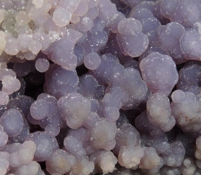 Quartz var. Chalcedony (Grape Agate) from near Pantai Manakarra, Mamuju, Sulawesi, Indonesia