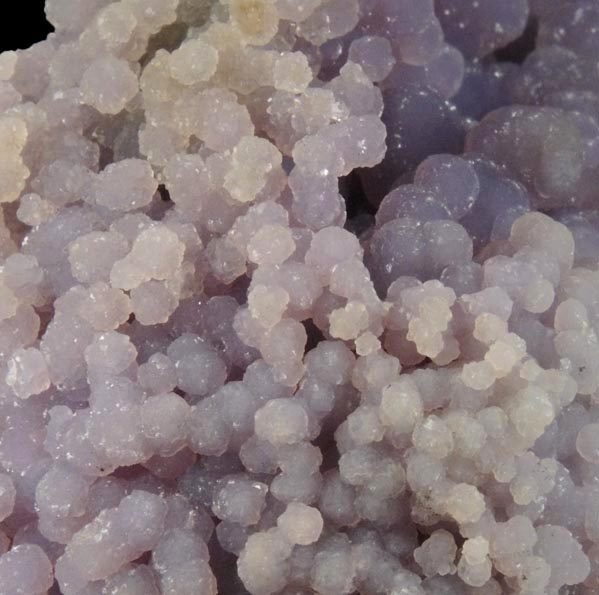 Quartz var. Chalcedony (Grape Agate) from near Pantai Manakarra, Mamuju, Sulawesi, Indonesia