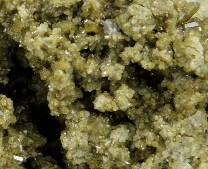 Scheelite on Vesuvianite from Blue Bird Mine, Bell District, Mineral County, Nevada