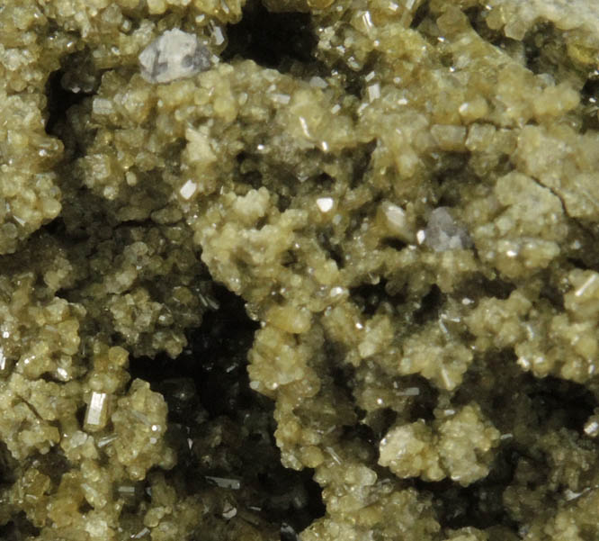 Scheelite on Vesuvianite from Blue Bird Mine, Bell District, Mineral County, Nevada