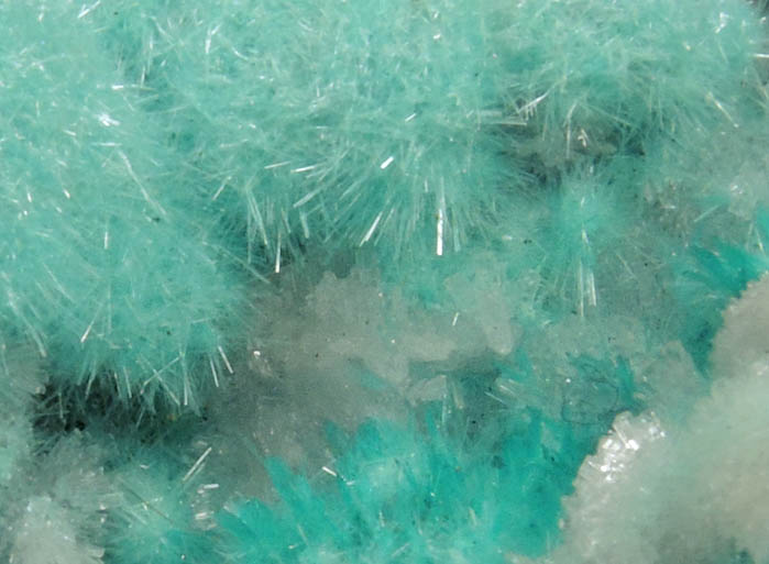 Aurichalcite and Hemimorphite from 79 Mine, Banner District, near Hayden, Gila County, Arizona