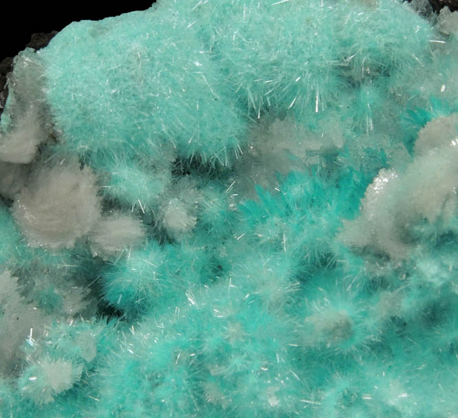 Aurichalcite and Hemimorphite from 79 Mine, Banner District, near Hayden, Gila County, Arizona