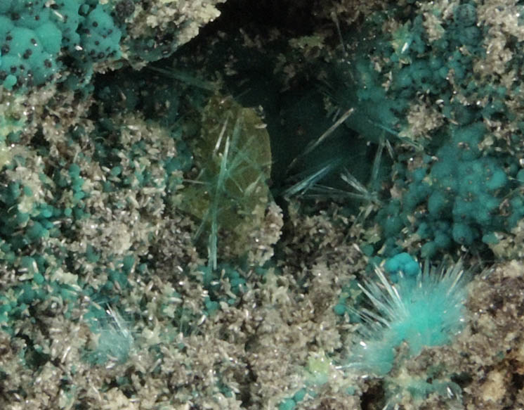 Rosasite, Aurichalcite, Wulfenite from 79 Mine, Banner District, near Hayden, Gila County, Arizona