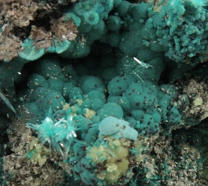 Rosasite, Aurichalcite, Wulfenite from 79 Mine, Banner District, near Hayden, Gila County, Arizona