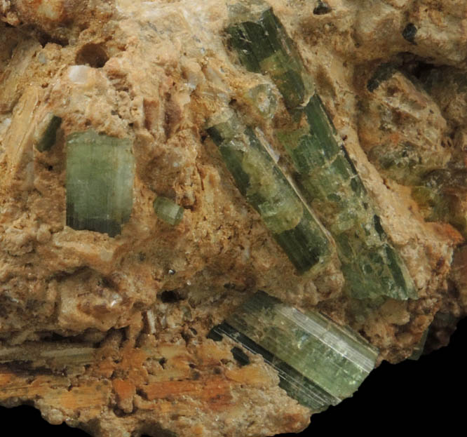 Elbaite Tourmaline in Cookeite from Mount Mica Quarry, Paris, Oxford County, Maine (Type Locality for Cookeite)