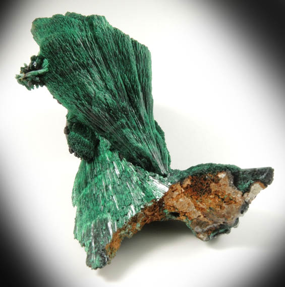 Malachite from Kerrouchen, El Kbab, Khnifra Province, Morocco