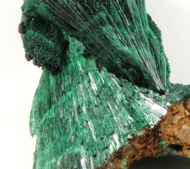 Malachite from Kerrouchen, El Kbab, Khnifra Province, Morocco