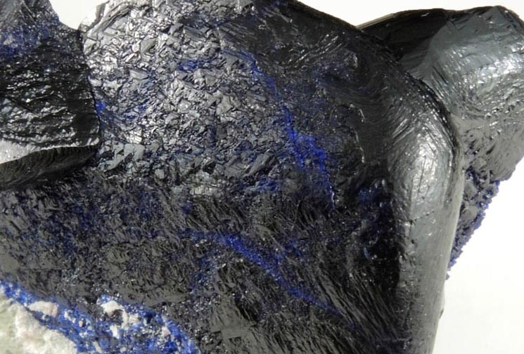 Azurite (with unusual rounded form) from Milpillas Mine, Cuitaca, Sonora, Mexico