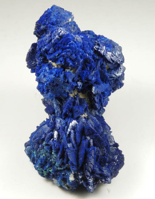 Azurite with minor Malachite from Copper Queen Mine, Bisbee, Warren District, Cochise County, Arizona