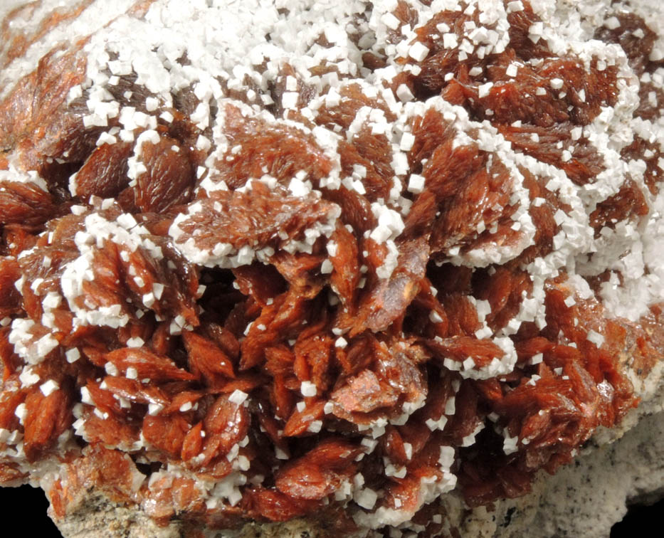 Descloizite with Dolomite from Berg Aukas Mine, 16 km ENE of Grootfontein, Otavi Mountain Land, Namibia