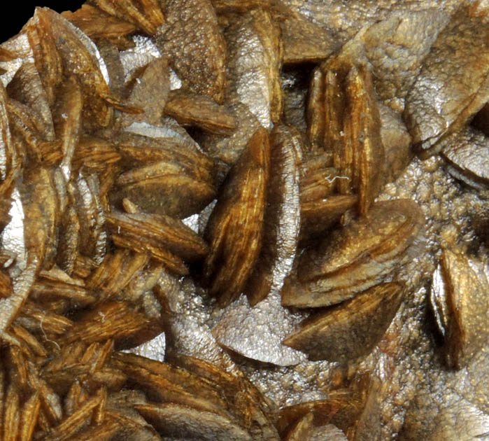 Siderite from Tongrube Farmsen, Hildesheim, Niedersachsen, Germany