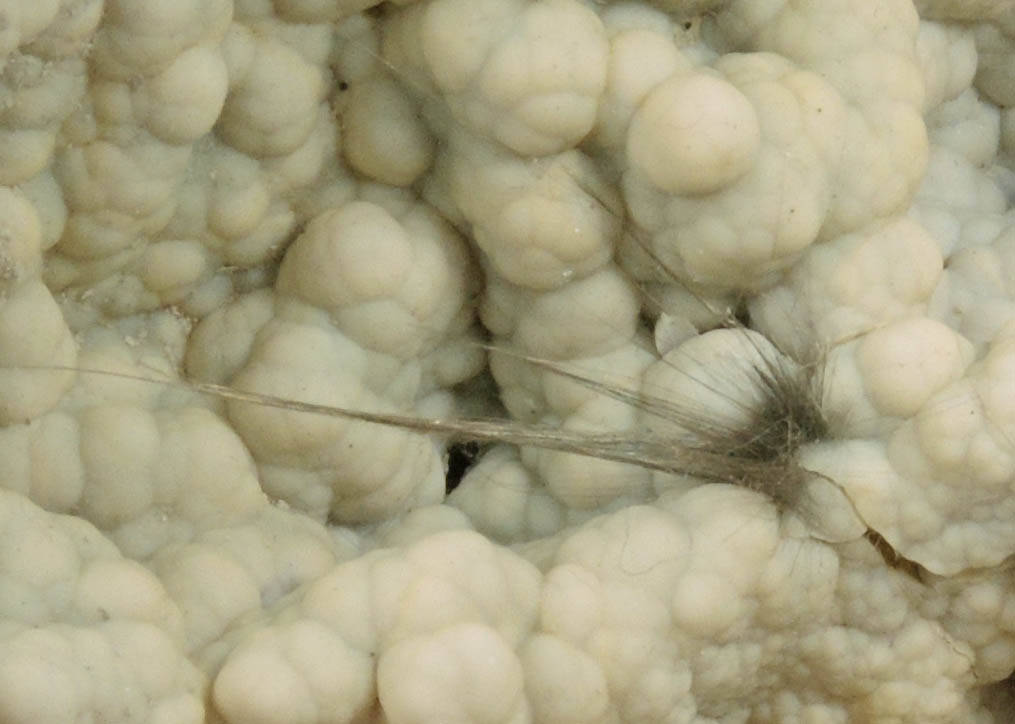 Millerite on Quartz var. Chalcedony from Monroe County, Indiana