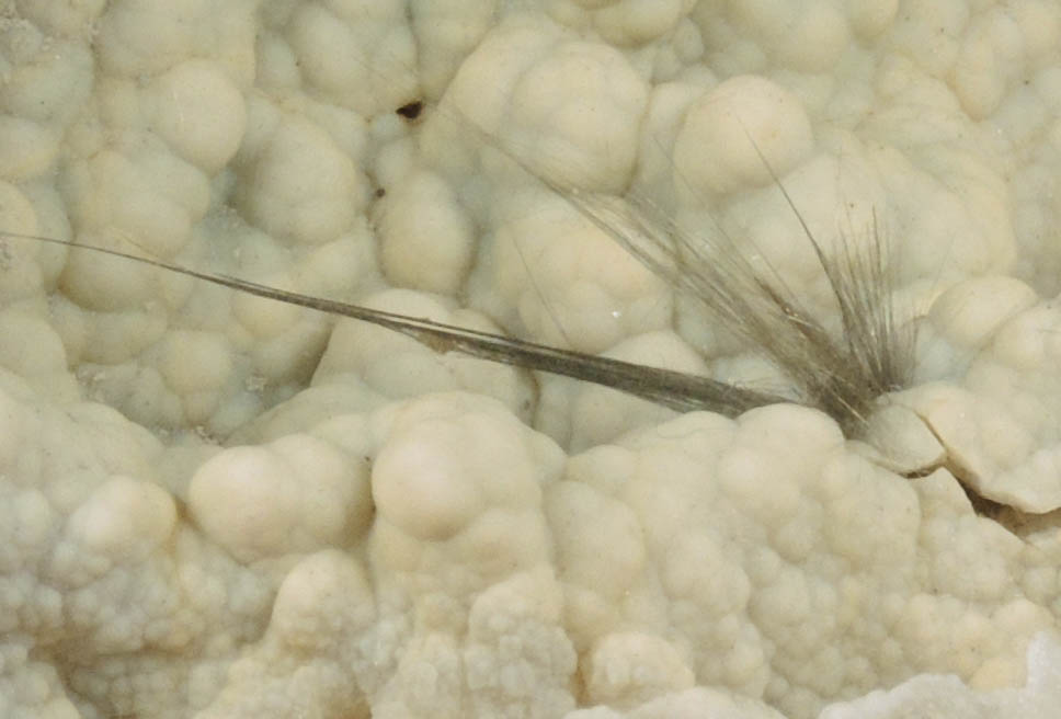 Millerite on Quartz var. Chalcedony from Monroe County, Indiana