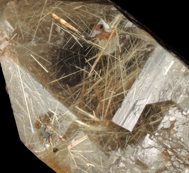 Quartz with Rutile inclusions (Rutilated Quartz) from Novo Horizonte, Bahia, Brazil