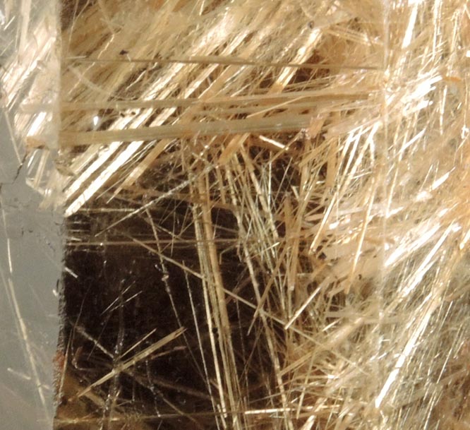 Quartz with Rutile inclusions (Rutilated Quartz) from Novo Horizonte, Bahia, Brazil