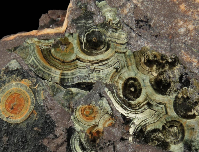 Kidwellite, Beraunite, Cacoxenite, Goethite from Coon Creek Mine, Polk County, Arkansas