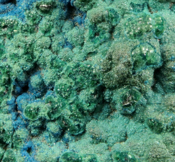 Cornetite on Chrysocolla from L'Etoile du Congo Mine, Lubumbashi, Katanga Copperbelt, Haut-Katanga Province, Democratic Republic of the Congo (Type Locality for Cornetite)