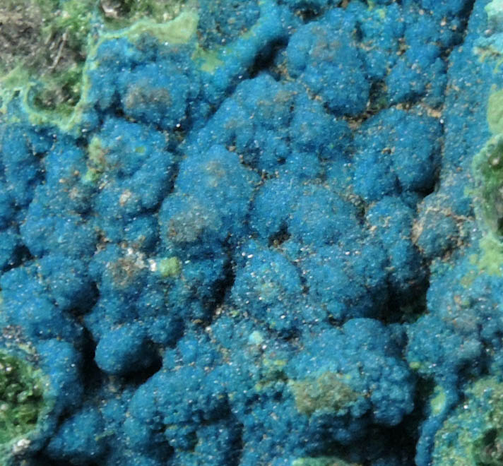 Cornetite on Chrysocolla from L'Etoile du Congo Mine, Lubumbashi, Katanga Copperbelt, Haut-Katanga Province, Democratic Republic of the Congo (Type Locality for Cornetite)