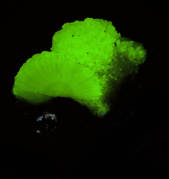 Photo below under longwave ultraviolet illumination of Adamite from Mina Ojuela, Mapimi, Durango, Mexico Adamite from Mina Ojuela, Mapimi, Durango, Mexico