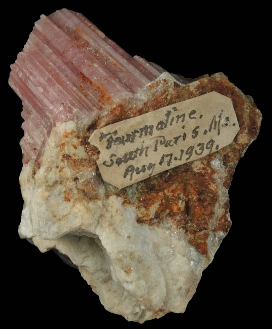 Elbaite var. Rubellite Tourmaline from South Paris, Oxford County, Maine