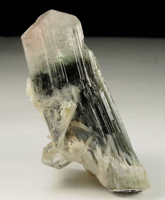 Elbaite var. Bi-colored Tourmaline with Albite from Stak Nala, Skardu Road, Baltistan, Gilgit-Baltistan, Pakistan