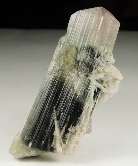 Elbaite var. Bi-colored Tourmaline with Albite from Stak Nala, Skardu Road, Baltistan, Gilgit-Baltistan, Pakistan