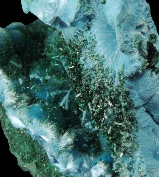 Malachite and Shattuckite from Kambove Mining District, 130 km NW of Lubumbashi, Katanga Copperbelt, Lualaba Province, Democratic Republic of the Congo