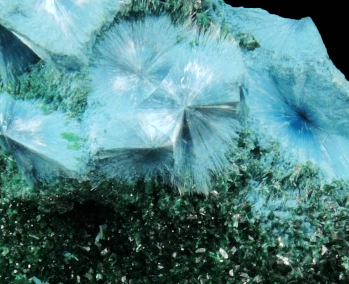 Malachite and Shattuckite from Kambove Mining District, 130 km NW of Lubumbashi, Katanga Copperbelt, Lualaba Province, Democratic Republic of the Congo