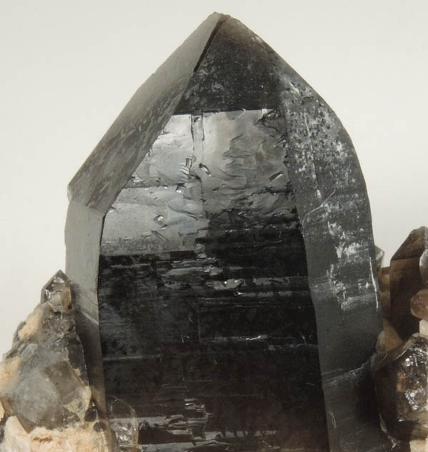 Quartz var. Smoky Quartz from Mount White, 3 km southeast of Mount Antero, Chaffee County, Colorado