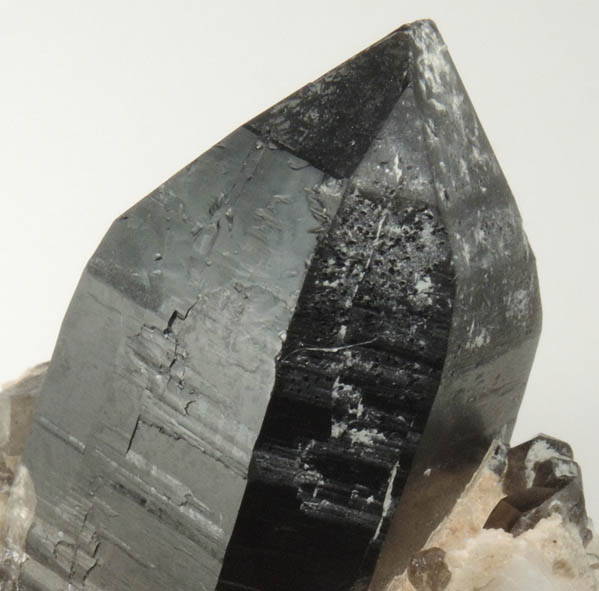 Quartz var. Smoky Quartz from Mount White, 3 km southeast of Mount Antero, Chaffee County, Colorado