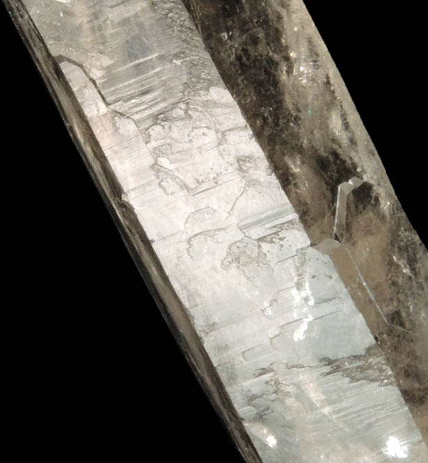 Quartz var. Smoky Quartz from Bear's Den, Mount Tabor, 50 meters north of Devil's Den quartz locality, Rutland County, Vermont