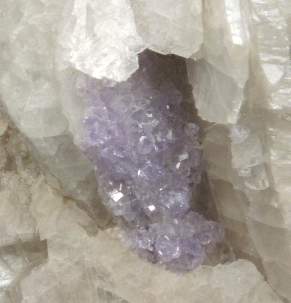 Fluorapatite on Albite from Havey Quarry, Poland, Androscoggin County, Maine