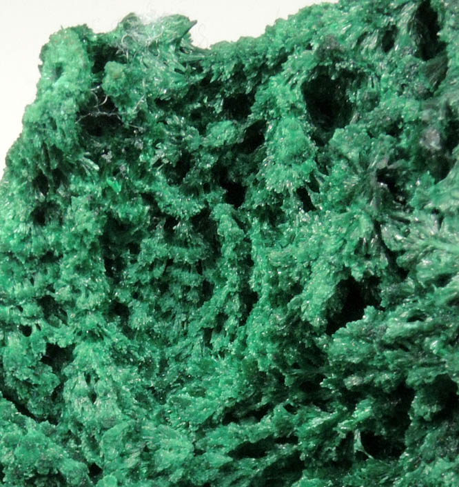 Malachite from Kolwezi Mining District, 240 km WNW of  Lubumbashi, Katanga Copperbelt, Lualaba Province, Democratic Republic of the Congo