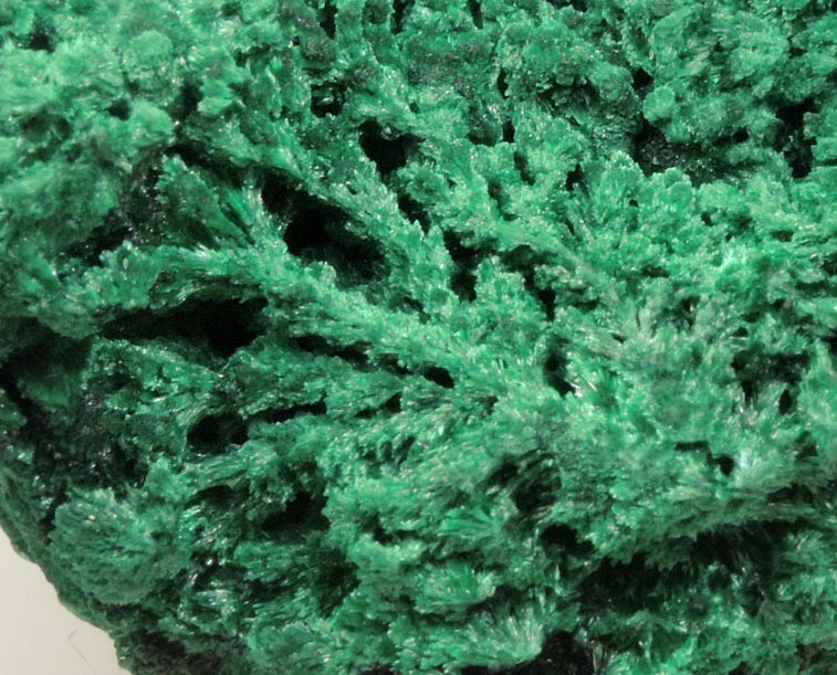 Malachite from Kolwezi Mining District, 240 km WNW of  Lubumbashi, Katanga Copperbelt, Lualaba Province, Democratic Republic of the Congo