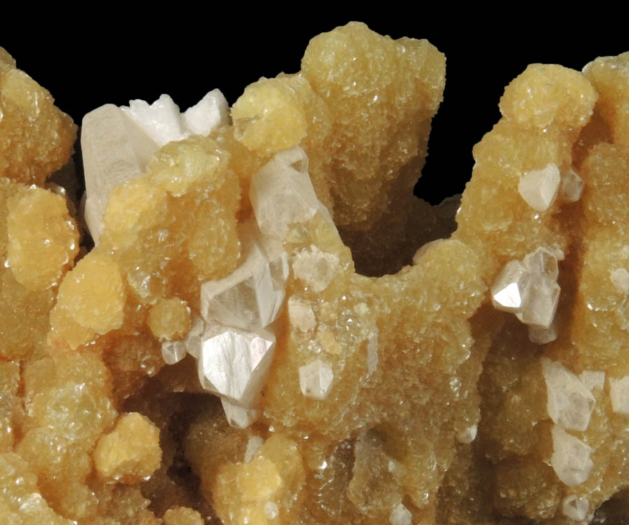 Muscovite and Quartz with Albite from Minas Gerais, Brazil